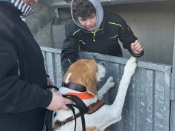 Seminare &raquo; Seminar 2024