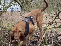 Seminare &raquo; Seminar 2025