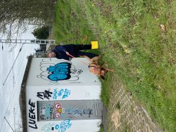 Bloodhound Tyra - Startphase nach dem Anriechen