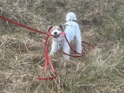 Seminare &raquo; Seminar 2026