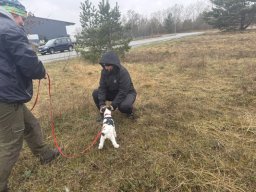Seminar 2026 - Erste Trails für Hummel