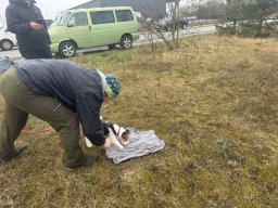 Seminar 2026 - Erste Trails für Hummel
