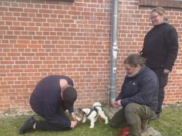 Seminar 2026 - Hummel wird belohnt