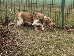 Seminar 2026 - Lotta konzentriert in der Ausarbeitung