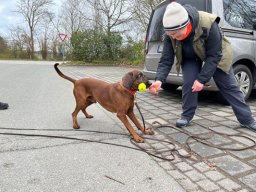 Seminar 2026 - Ruffy wird mit einem Spiel bestätigt
