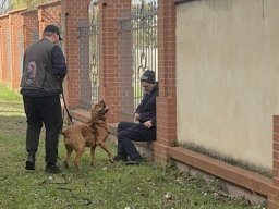 Seminar 2026 - Chewbacca findet ihre Person sitzend