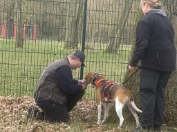 Seminar 2026 - unser zweiter Youngstar Rubby