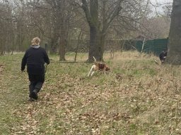 Seminar 2026 - Ruby zeigte frühzeitig eine konzentrierte Ausarbeitung