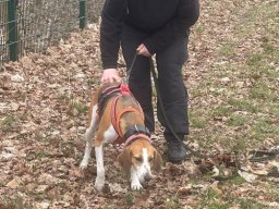 Seminar 2026  - Youngstar Ruby am Start