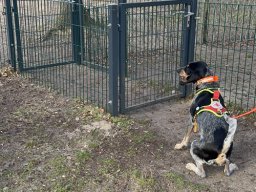 Seminar 2026 - Ginger bei der Anzeige einer Tür