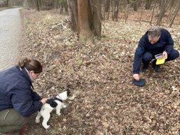 Seminar 2026 - Hummel wird der Geruchsartikel interessant gemacht