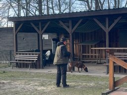 Seminar 2026 - Ruffy in der Ausarbeitung auf dem Gelände des Gebrauchshundevereins