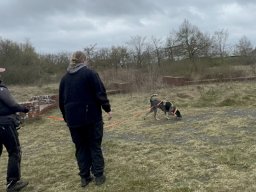 Seminar 2026 - Silke in der Ausarbeitung eines Trails mit Ginger