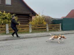 Seminar 2026 - Lotta mit hoher Motivation