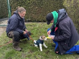 Seminar 2026 - Kleine Hummel großer Trailleger